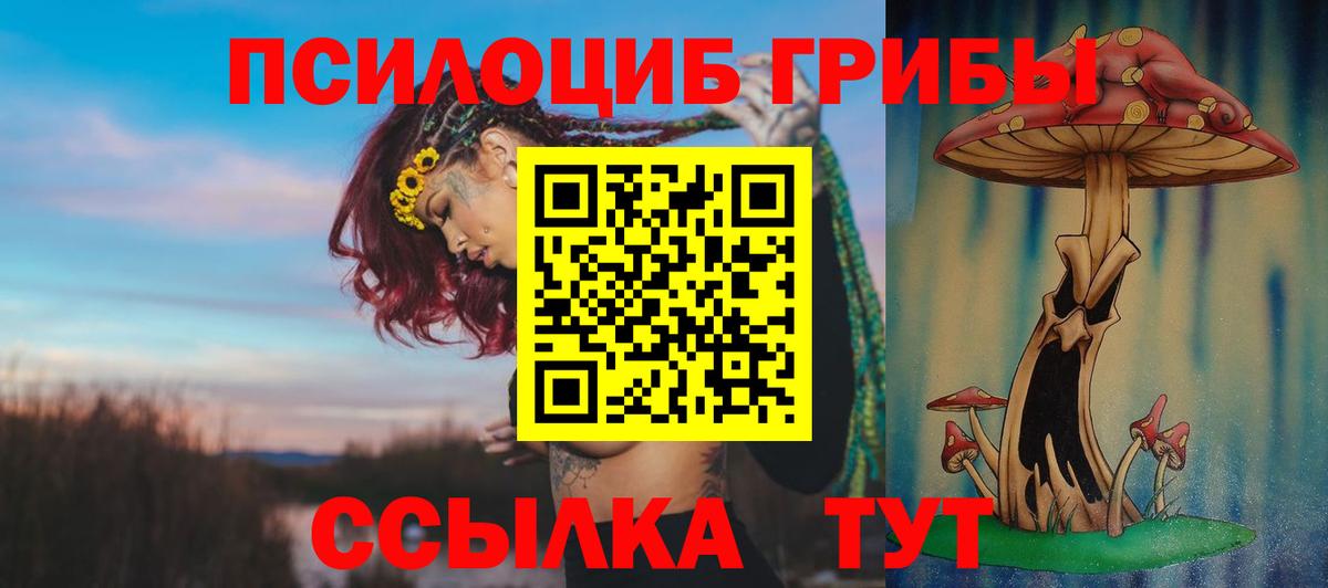 Галлюциногенные грибы Psilocybe Советский